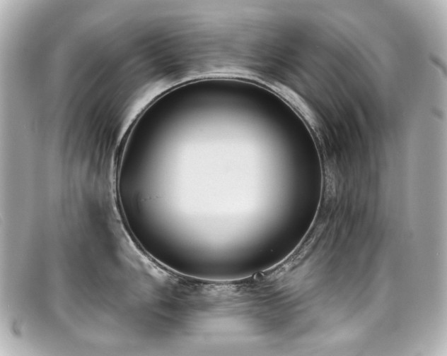 X0000099441006200805091308