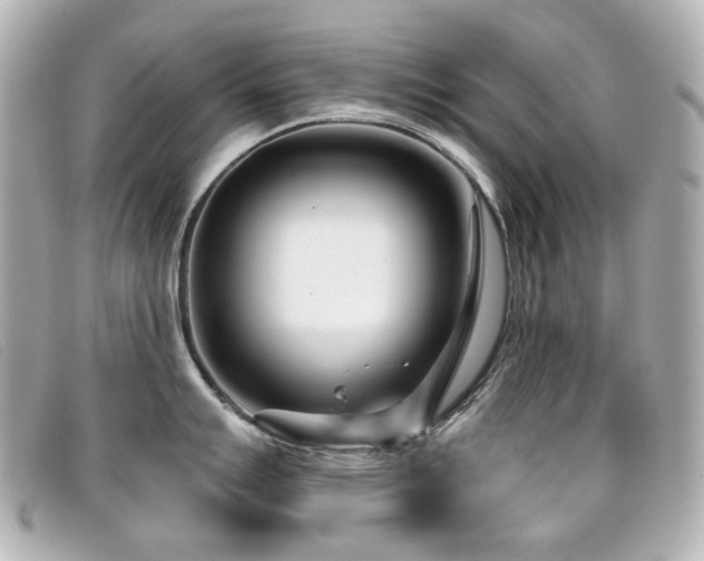 X0000099441007200805091308