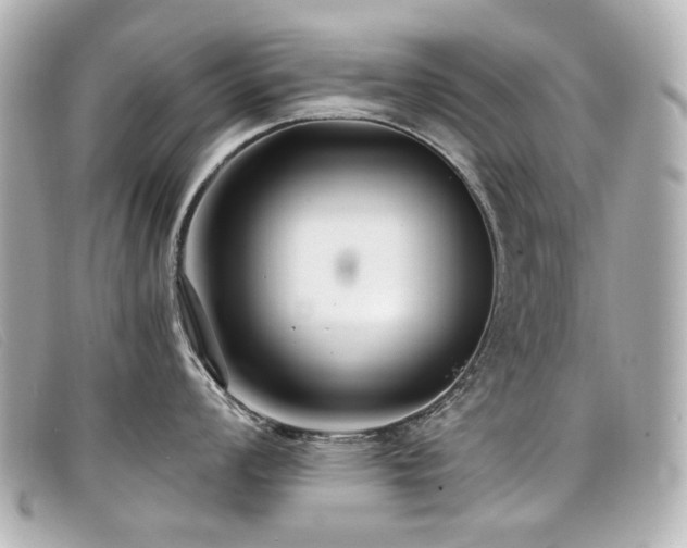 X0000099441008200805091308
