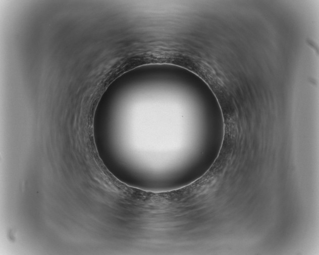 X0000099441009200805091307