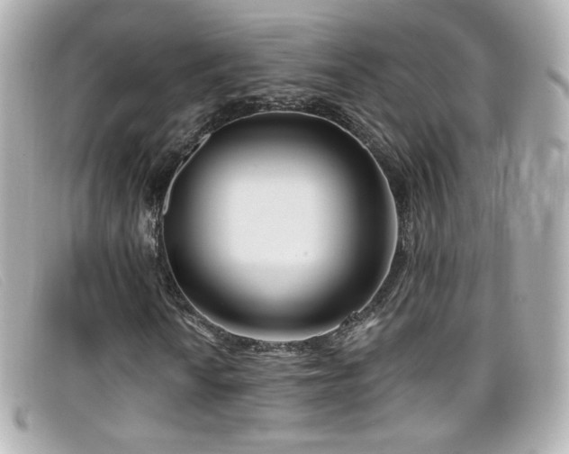 X0000099441010200805091307