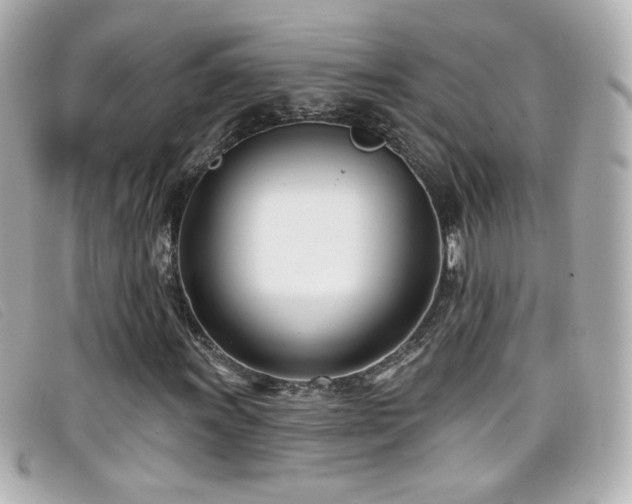 X0000099441011200805091307