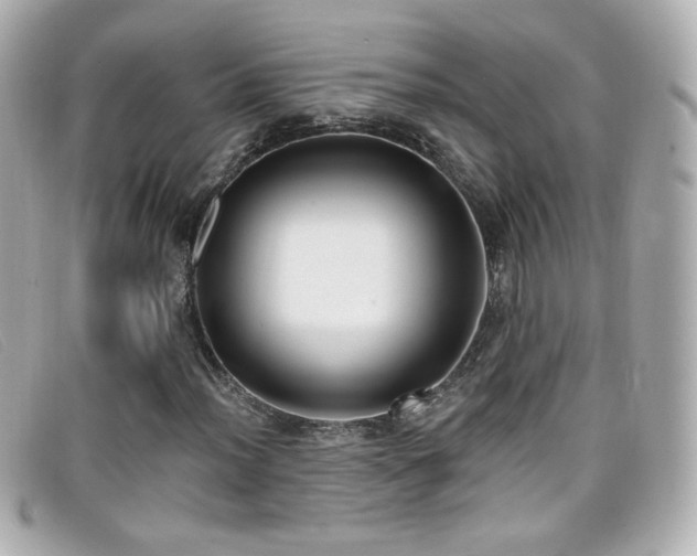 X0000099441012200805091307