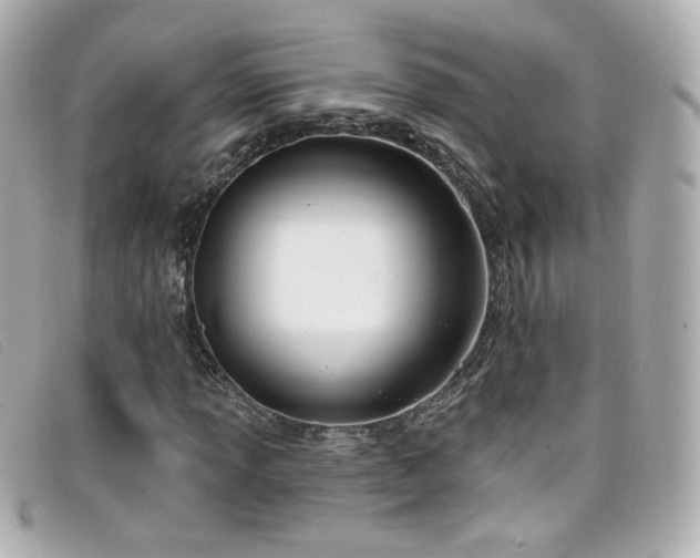 X0000099441013200805091307