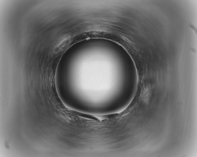 X0000099441014200805091307
