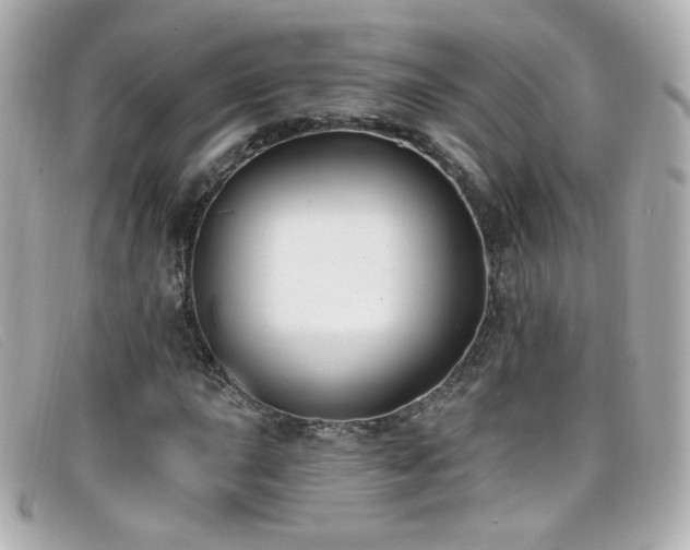 X0000099441015200805091307