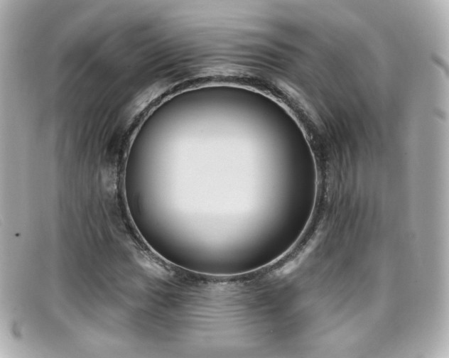 X0000099441017200805091307
