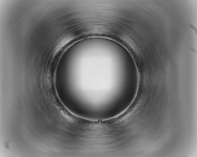 X0000099441018200805091307