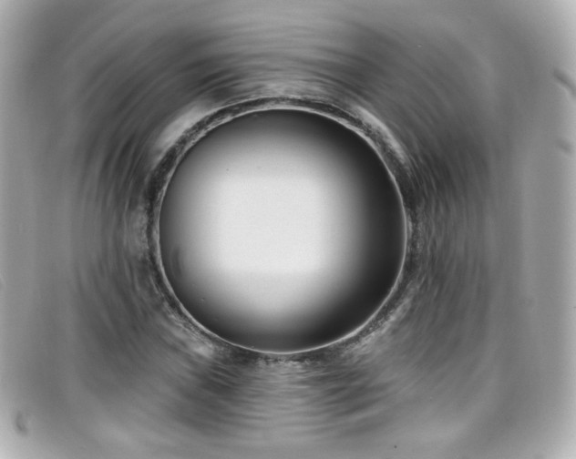 X0000099441019200805091307