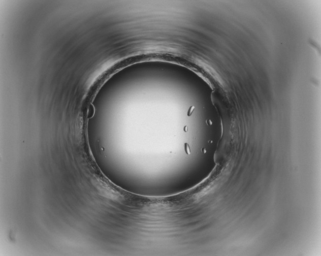 X0000099441021200805091308