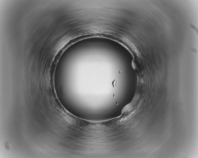 X0000099441023200805091308