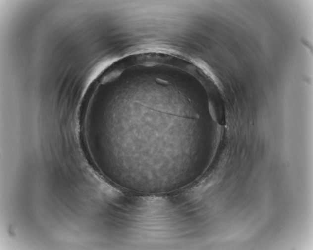 X0000099441024200805091308
