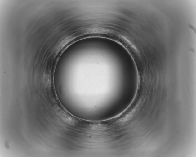 X0000099441025200805091308