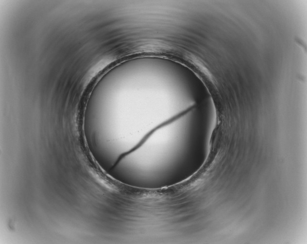 X0000099441026200805091308