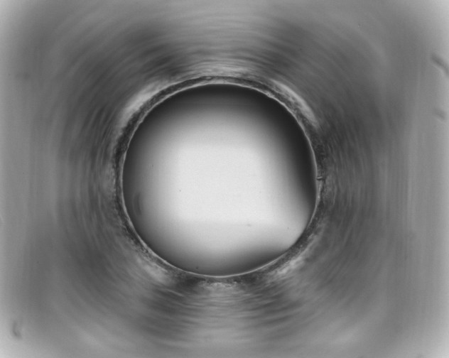 X0000099441027200805091308