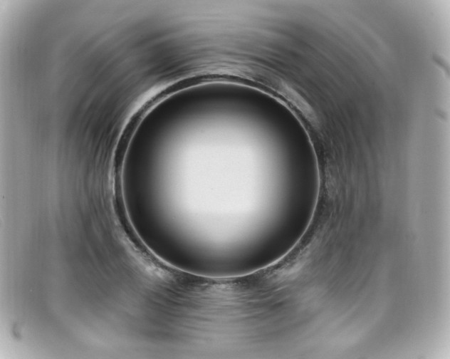 X0000099441028200805091308