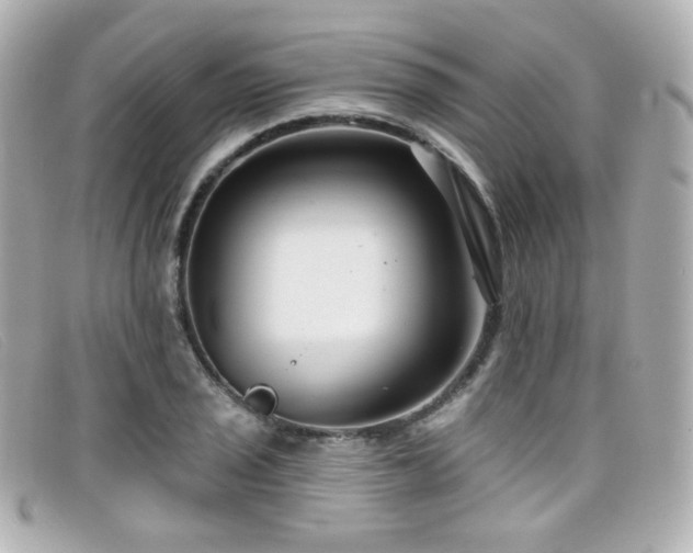 X0000099441029200805091308