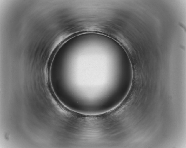 X0000099441032200805091308