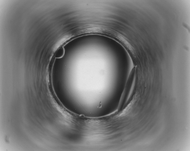 X0000099441034200805091308