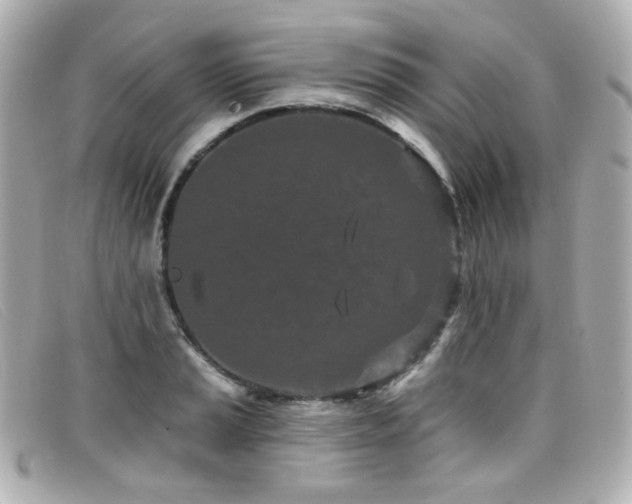 X0000099441037200805091308