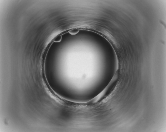 X0000099441038200805091308