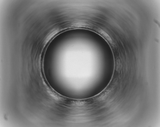 X0000099441039200805091308