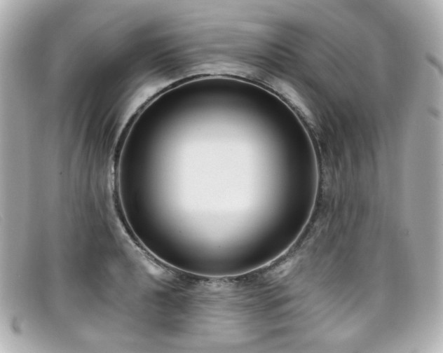 X0000099441040200805091308