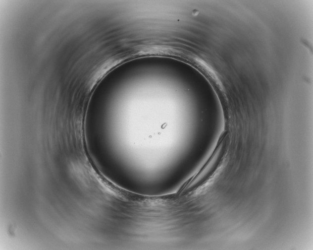 X0000099441041200805091308