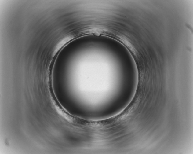 X0000099441042200805091308