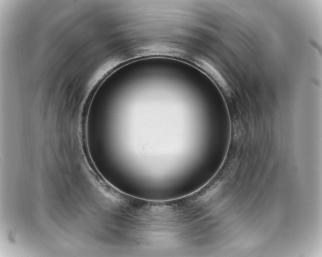 X0000099441043200805091308