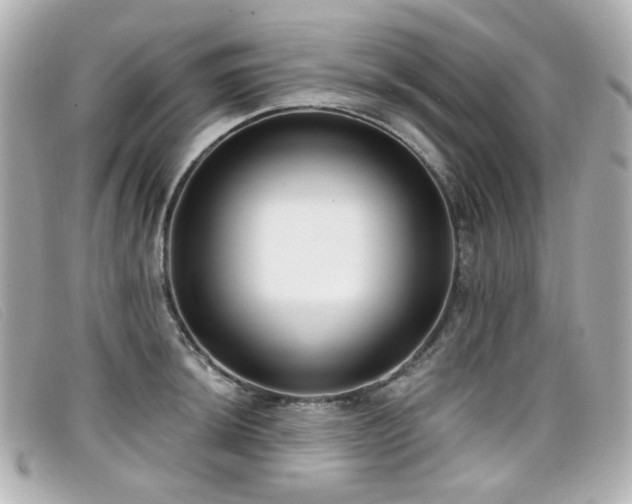 X0000099441044200805091308
