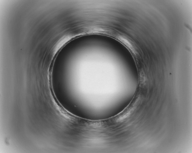 X0000099441047200805091308