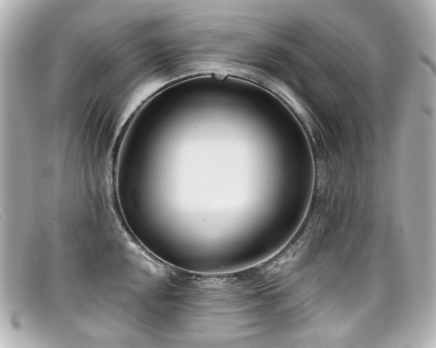 X0000099441048200805091308