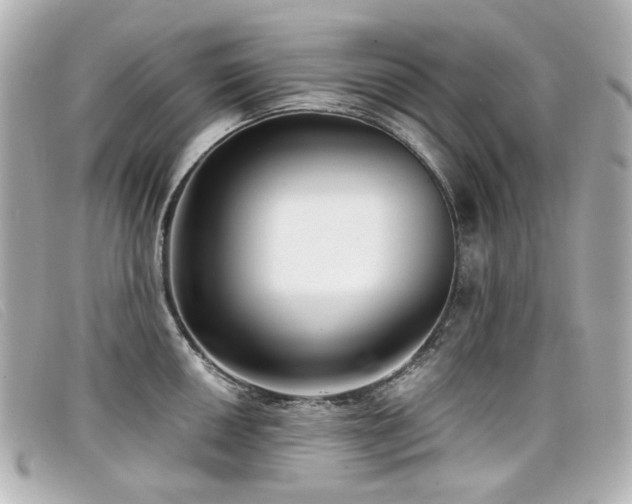 X0000099441050200805091308