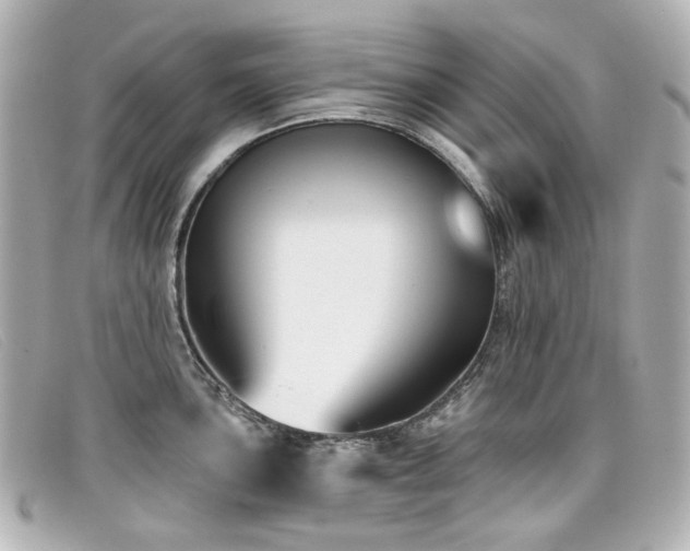 X0000099441051200805091308