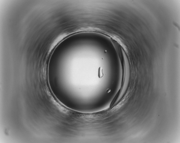 X0000099441054200805091308