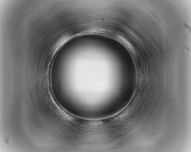 X0000099441055200805091308