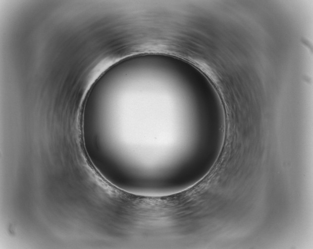 X0000099441056200805091308