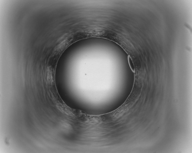 X0000099441058200805091307