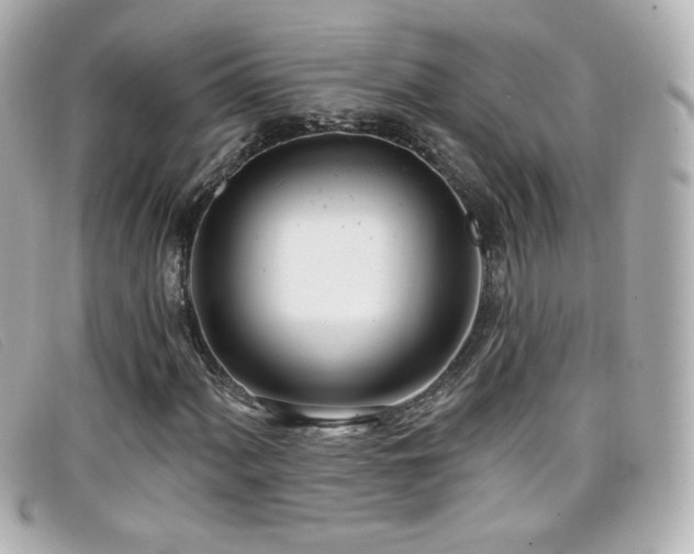 X0000099441060200805091307