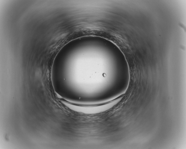 X0000099441061200805091307