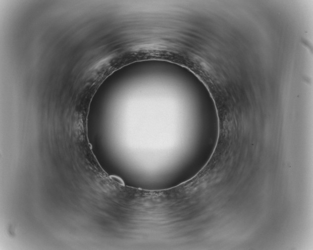 X0000099441062200805091307