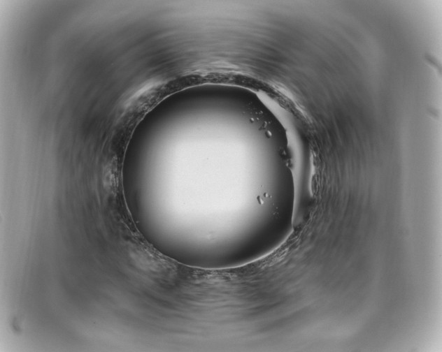 X0000099441063200805091307