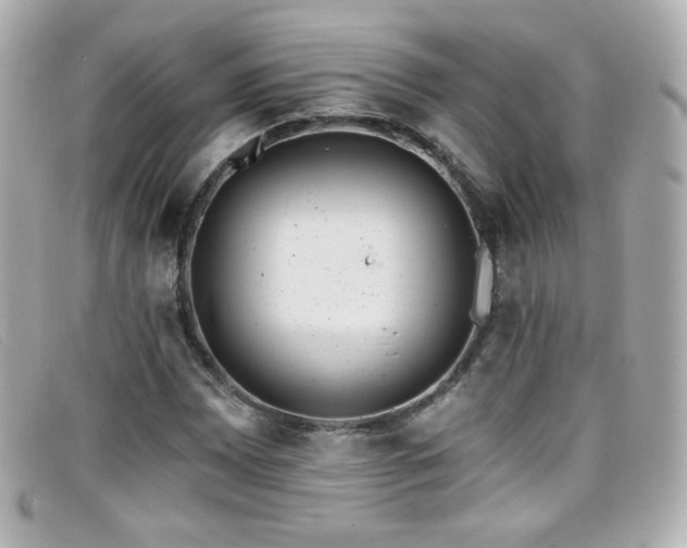 X0000099441065200805091307