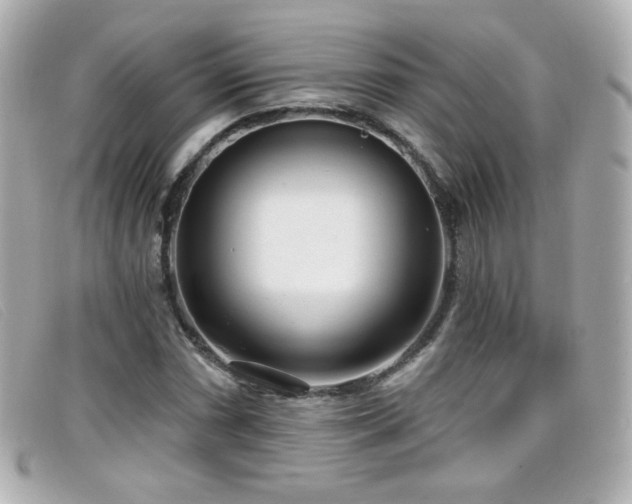 X0000099441066200805091307