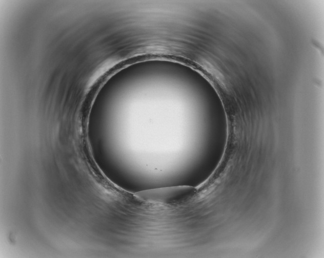 X0000099441070200805091307