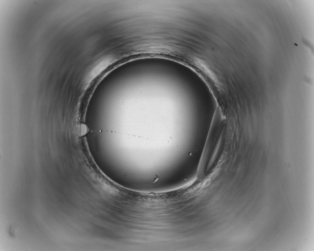 X0000099441071200805091307