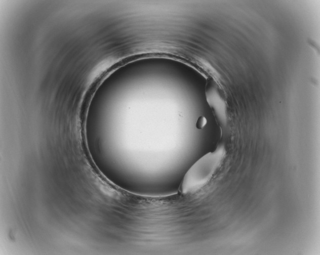X0000099441072200805091307