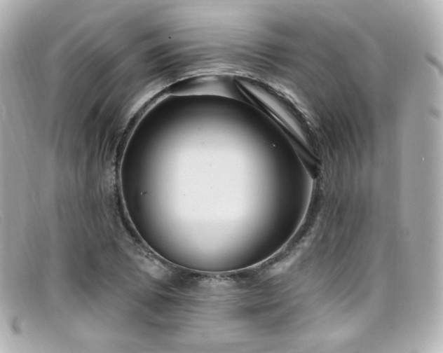 X0000099441073200805091307