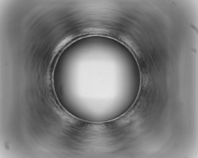 X0000099441074200805091307